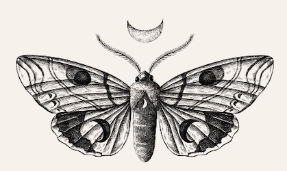 Der Nachtfalter - Begleiter bei der Werkerstellung - Die Ruhe des Schöpferischen - Die Reflexion des Tages